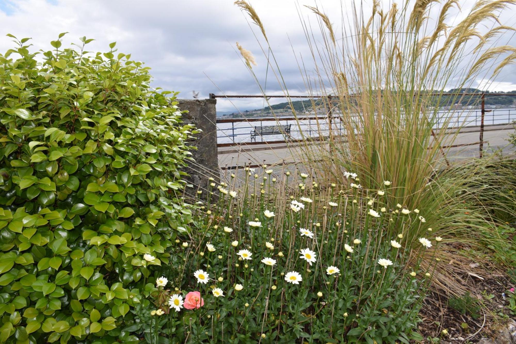 One Marine Place Port Bannatyne ภายนอก รูปภาพ